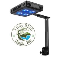 Đèn Aqua Knight M029 và Gako A052 cho hồ cá biển - Đèn chuyên dụng cho hồ nước mặn