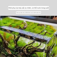 Đèn Aqua LED Odyssea Slim X thủy sinh siêu sáng chuyên dụng cho hồ cá rồng - thủy sinh- hồ cá koi - Kingkoifarm