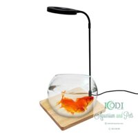 Đèn Bán Cạn - Đèn Đế Gỗ Cho Bể Cá Cảnh Bể Thuỷ Sinh