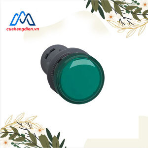 Đèn báo xa Schneider XA2EVMD3LC