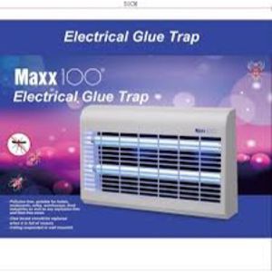 Đèn bẫy côn trùng Maxx 100