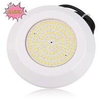 Đèn bể bơi LED PNPIA DC12V chống thấm nước ấm trắng lặn Boutique