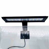 Đèn bể cá, đèn cỏ nước, đèn kẹp led, đèn bể cá nhỏ, đèn rồng sấm, đèn cỏ nước, đèn cá nhiệt đới, đè