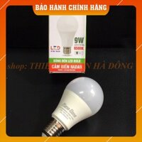 Đèn cảm biến radar 7W/9W LED Rạng Đông