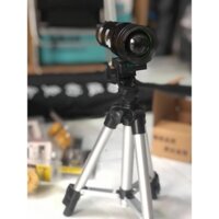 đèn câu đêm cao cấp