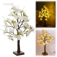 Đèn cây hoa anh đào Cây phát sáng Mini Đèn LED hoạt động bằng pin Đèn ngủ để bàn trang trí nội thất [TrendyIsland.vn]