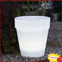 Đèn chậu hoa năng lượng mặt trời Gigicloud, Đèn sân ngoài trời bằng nhựa PP 4LED, Chậu trang trí hiện đại cho cây trồng, Đèn trang trí sân vườn chống nước IP44, Đèn chiếu sáng tự động ban đêm