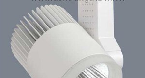 Đèn chiếu điểm Anfaco AFC-900T - 12W