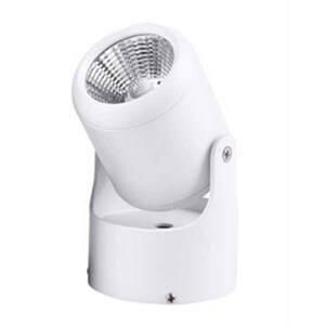 Đèn chiếu điểm FN269