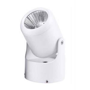 Đèn chiếu điểm FN270