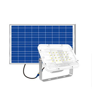 Đèn chiếu pha năng lượng mặt trời Rạng Đông CP01SL - 40W