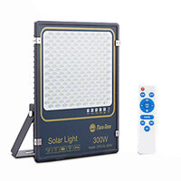 Đèn chiếu pha năng lượng mặt trời Rạng Đông 300W Model: CP03.SL.RAD 300W.- Chính Hãng bảo hành 24 tháng