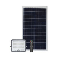 Đèn chiếu pha năng lượng mặt trời Rạng Đông CP02.SL.RF 50W - AS: 3000K/6500K
