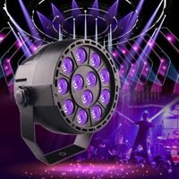 Đèn chiếu sáng sân khấu LED ánh sáng tím, Thông số kỹ thuật cắm: Cắm của Hoa Kỳ (12 đèn Par ánh sáng tím)