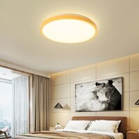 Đèn Chiếu Trần Nhà Đèn Led ốp Trần Đèn Trần Trang Trí Phòng Ngủ Hiện Đại Đèn Trần Phòng Khách Bắc Âu