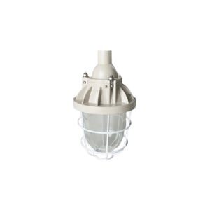 Đèn chống nổ Paragon BCD250