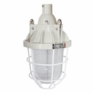 Đèn chống nổ Paragon BCD250