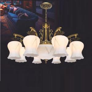 Đèn chùm trang trí Netviet NC-8068/8