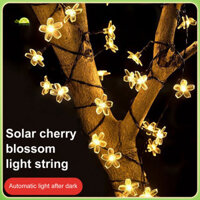 Đèn cổ tích năng lượng mặt trời chống nước Fianao Đèn hoa anh đào 7m Đèn hoa anh đào năng lượng mặt trời đầy màu sắc Đèn cổ tích cho tiệc cưới ngoài trời Trang trí sân vườn Đèn Led chống nước