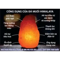 ĐÈN ĐÁ MUỐI HYMALAYA