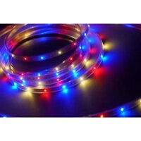 Đèn dây LED quấn cây năng lượng mặt trời