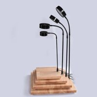đèn đế gỗ led,bể cá thủy sinh terrarium