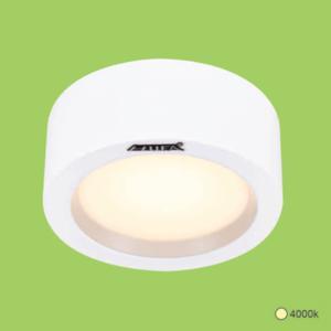 Đèn downlight âm trần LN-25 10W