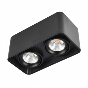 Đèn downlight âm trần LN-30 10Wx2