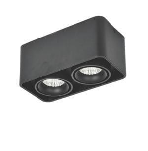 Đèn downlight âm trần LN-30 10Wx2