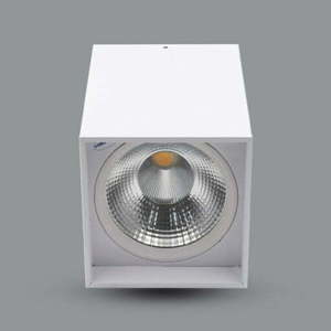 Đèn downlight gắn nổi PSDLL182L25