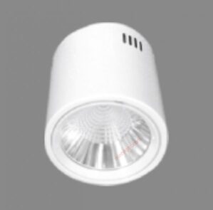 Đèn downlight gắn nổi PSDOO132L10