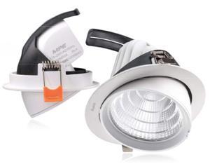 Đèn Downlight MPE DLA-20V
