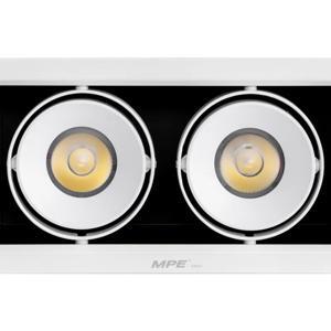 Đèn Downlight MPE DLS-220N