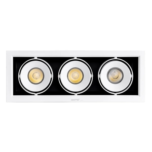 Đèn Downlight MPE DLS-320V