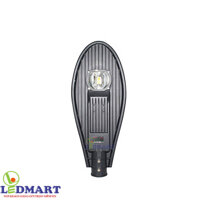 Đèn đường 30W rạng đông D CSD02L/30W