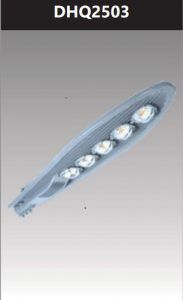 Đèn đường led 250w DHQ2503