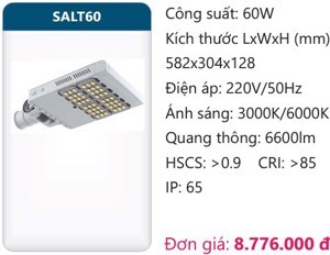 Đèn đường led Duhal SALT60 60W