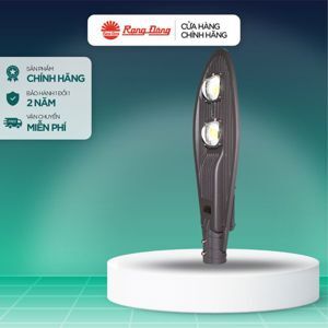 Đèn đường LED Rạng Đông CSD02 120W