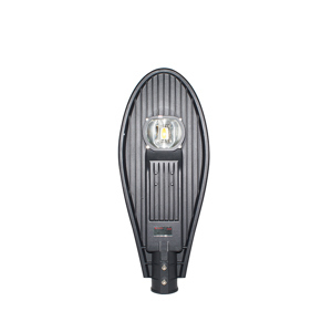 Đèn đường LED Rạng Đông CSD02L - 30W