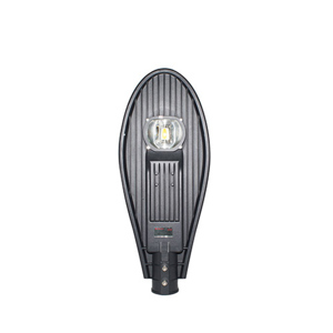 Đèn đường LED Rạng Đông D CSD02L/40W