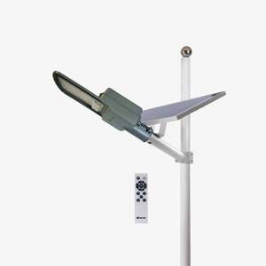 Đèn đường Rạng Đông CSD05 100W