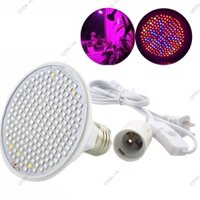 Đèn E27 Full Spectrum 200 LED Plant Grow Light AC Cable Set cho hoa thủy canh trồng trọt trong nhà F @ V2N