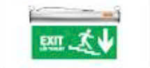Đèn EXIT chỉ dẫn hướng xuống asia ECX-01 MẶT