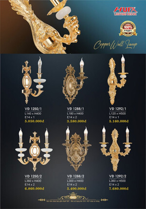 Đèn gắn tường VĐ1250/1