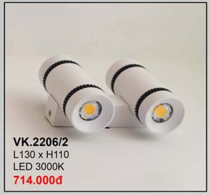 Đèn hắt tường VK2206/2