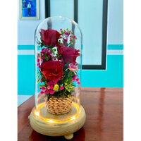 đèn hoa bất tử