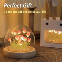 Đèn Hoa Tulip Cầu Kính Dễ Thương Trang Trí Phòng Ngủ, Đèn Phát Sáng Xinh Xắn Làm Quà Tặng Sinh Nhật