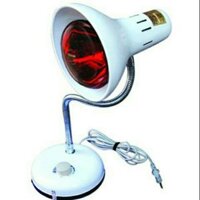 Đèn hồng ngoại TNE kèm bóng 250W chính hãng