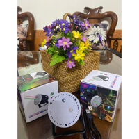 Đèn lade vũ trường hình ống bơ