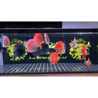 ĐÈN LED BỂ CÁ CẢNH 11 CHẾ ĐỘ MẦU
